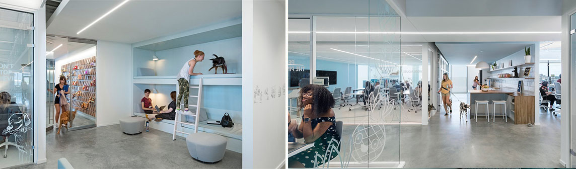 首页- 英国立博ladbrokes公司官网