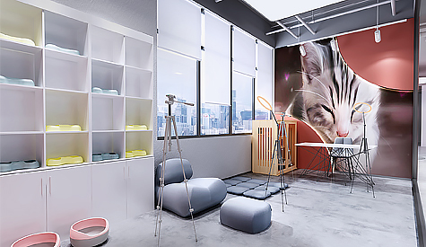 广州市纤芊宠物用品装建设计