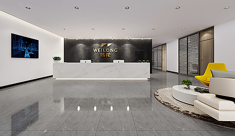 伟龙金溢科技有限公司办公室装建设计