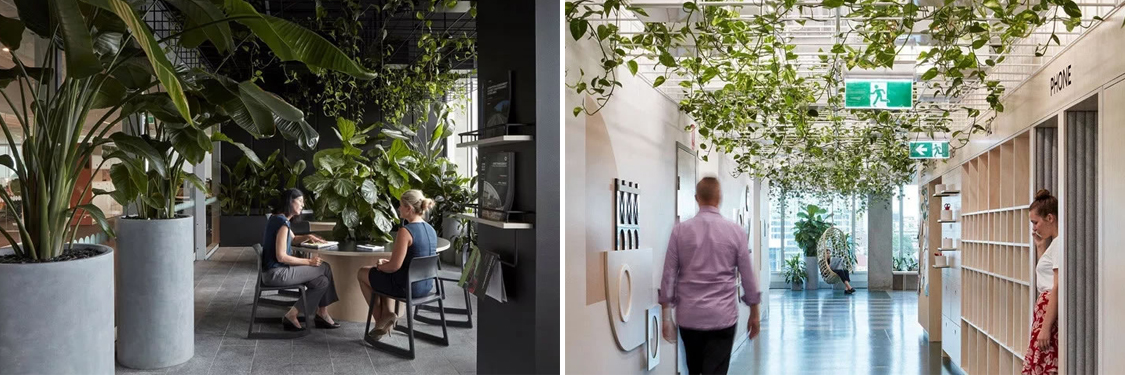 广州装建设计公司